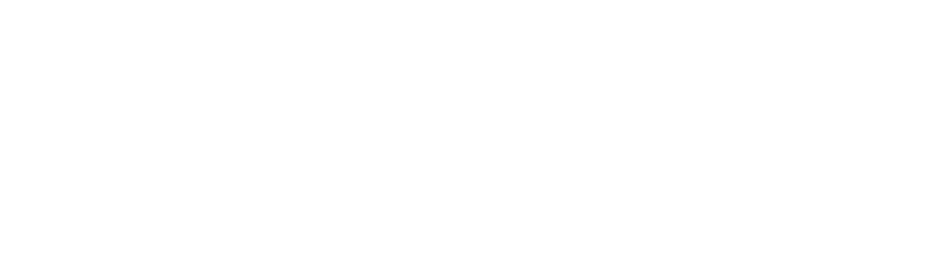 Health Informatics Group Logo